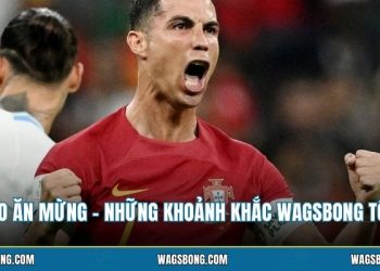 Ronaldo Ăn Mừng - Những Khoảnh Khắc WAGsbong Tổng Hợp